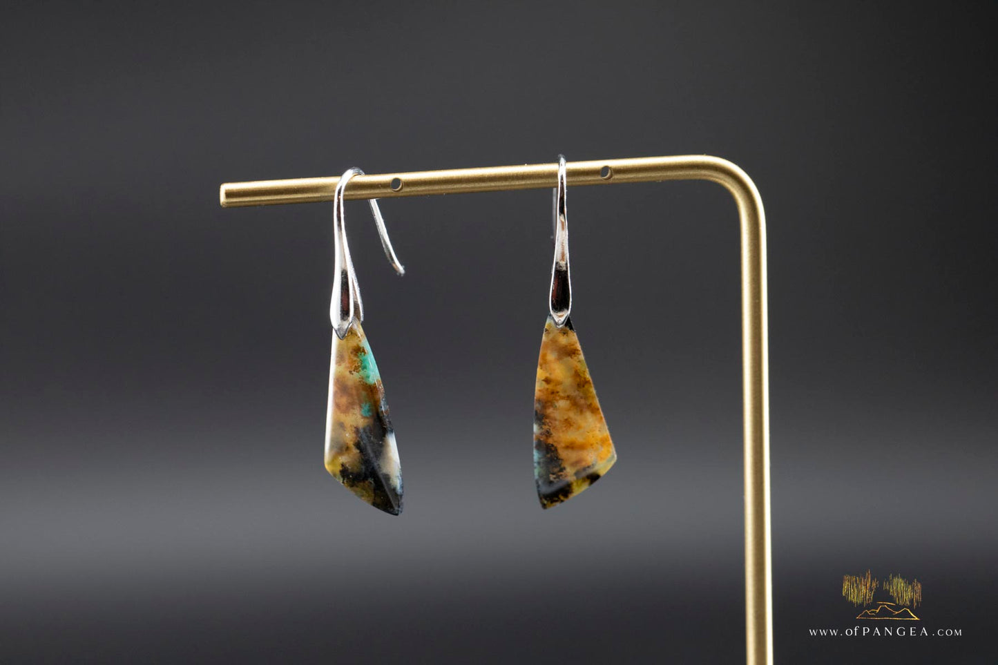 Petrified Wood Earrings - Opalized - Sterling Silver