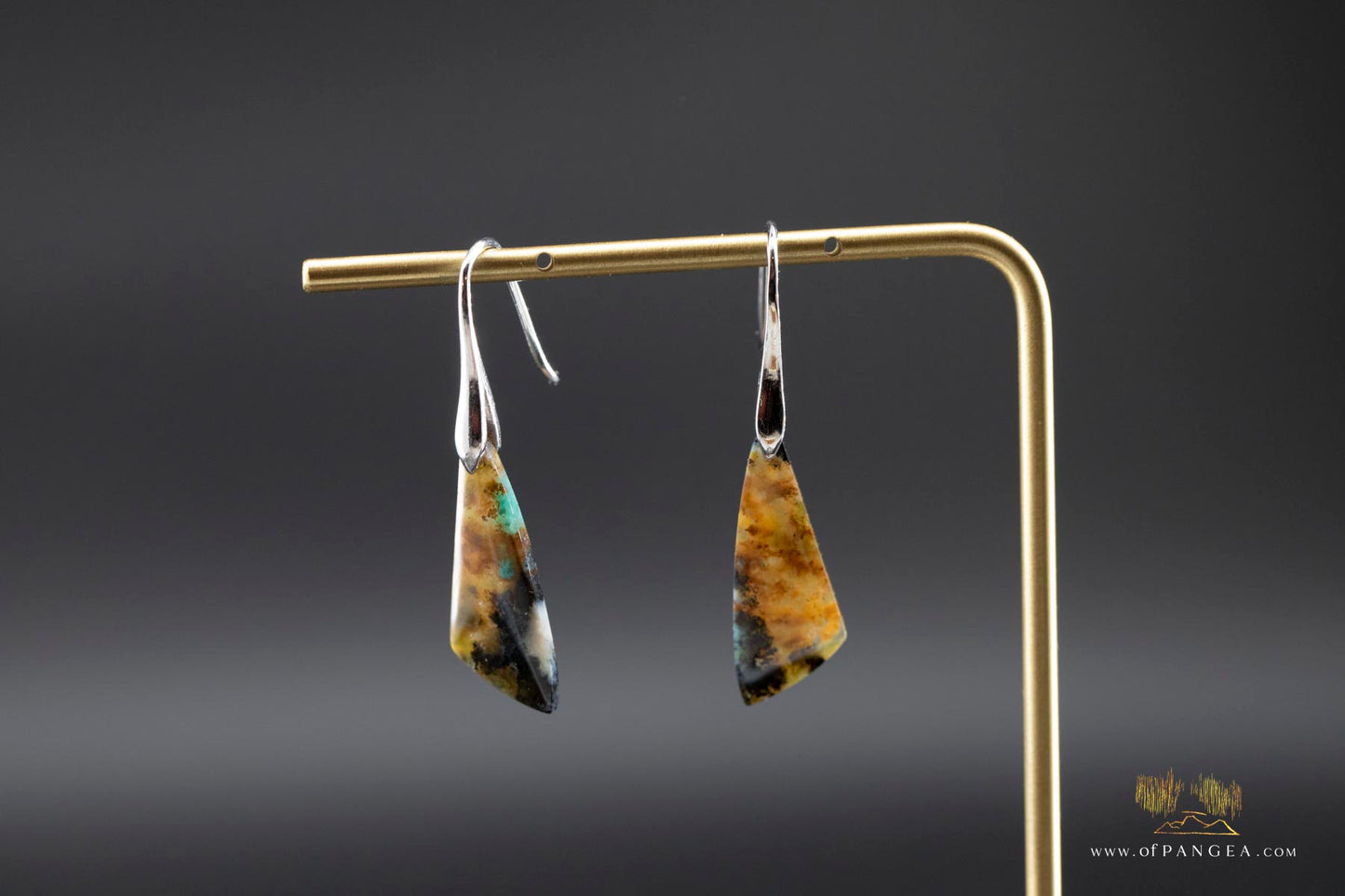 Petrified Wood Earrings - Opalized - Sterling Silver