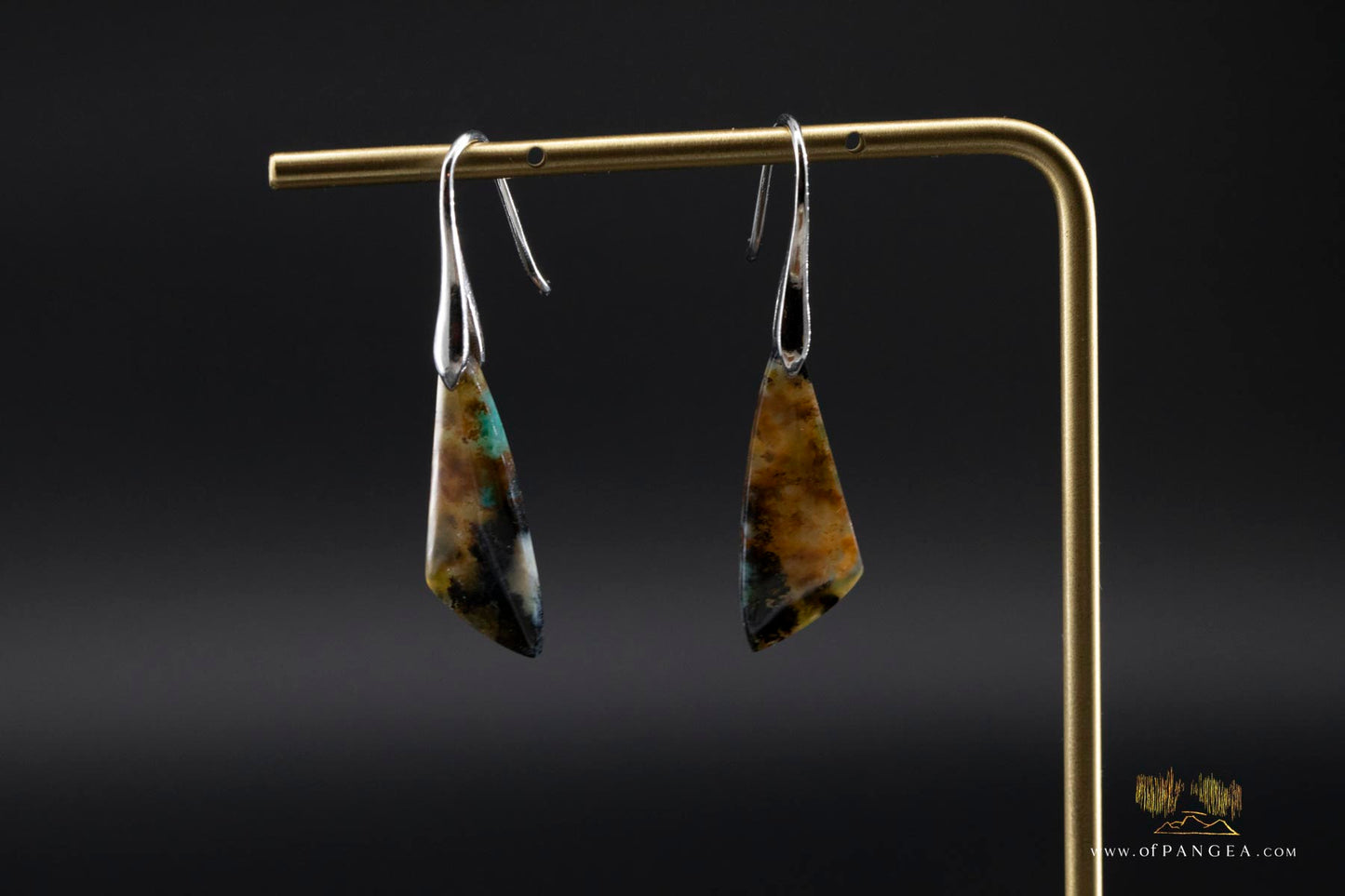 Petrified Wood Earrings - Opalized - Sterling Silver