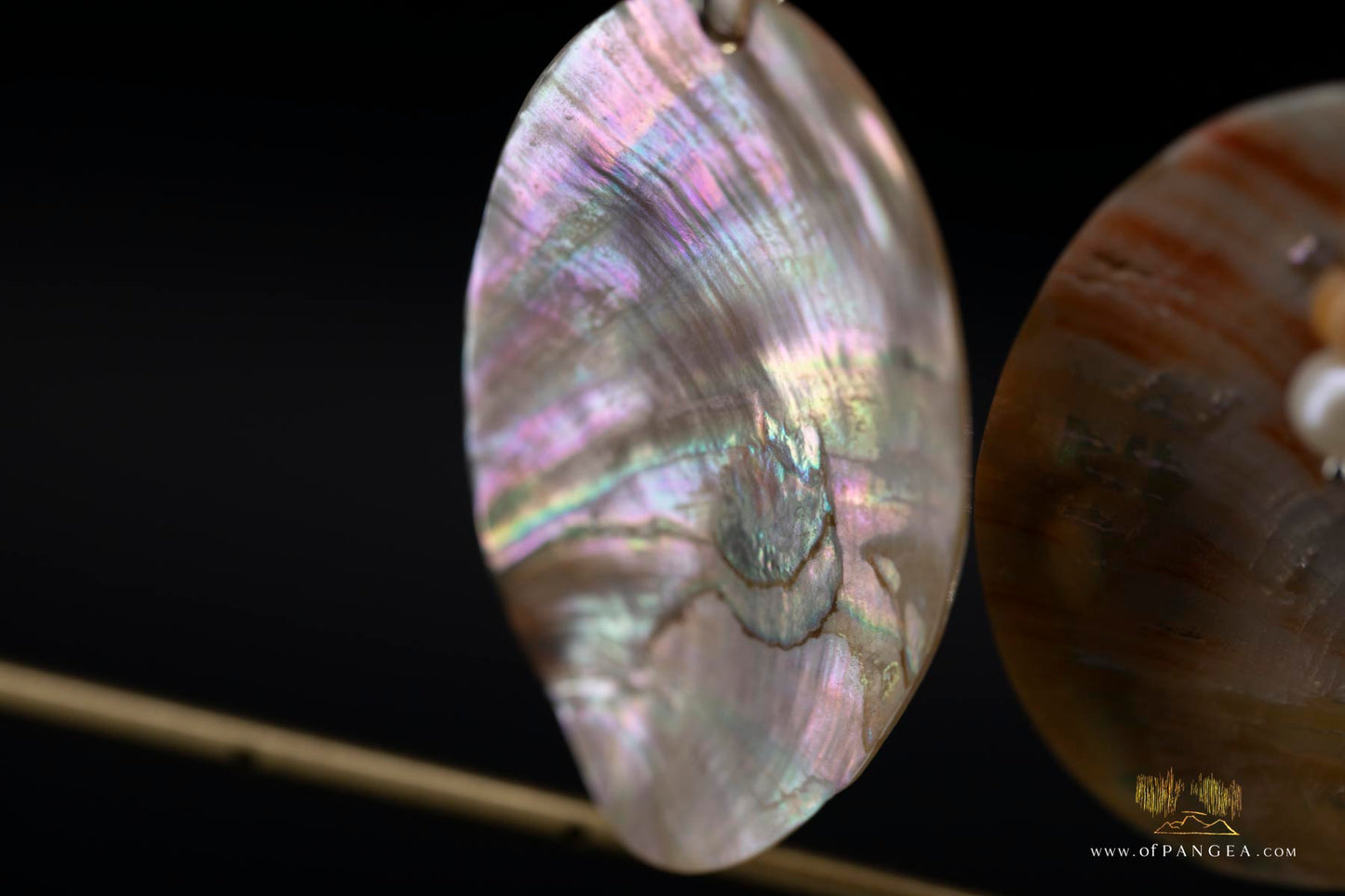 Red Abalone Oval (Mother of Pearl) Earrings - AAA Pearl, Abalone bead, sterling silver