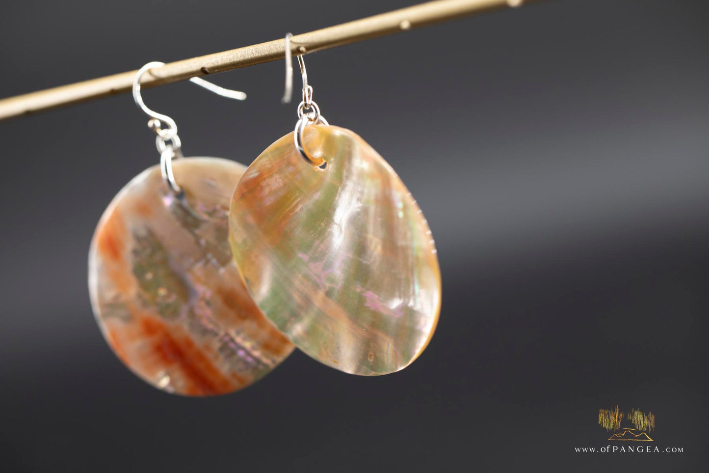 Red Abalone Circle (Mother of Pearl) Earrings - sterling silver