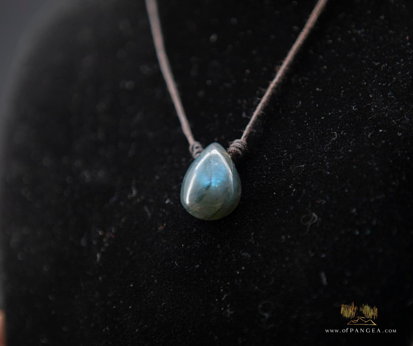 Labradorite Drop pendant necklace - waxed cotton cord