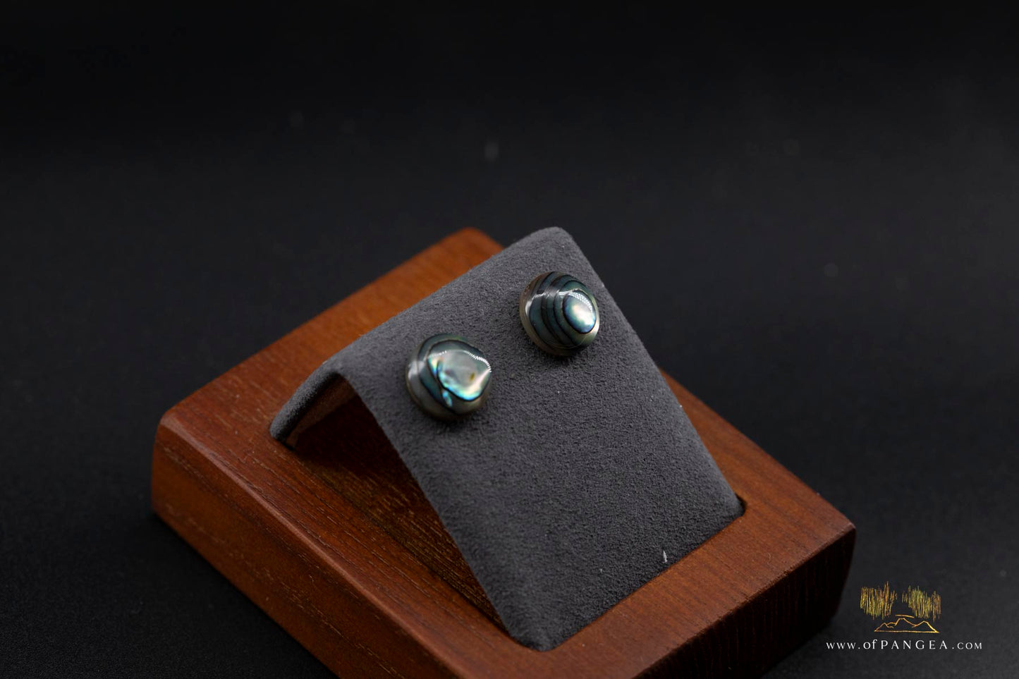 Abalone Stud Earrings - 10mm Abalone and 0.925 Sterling Silver