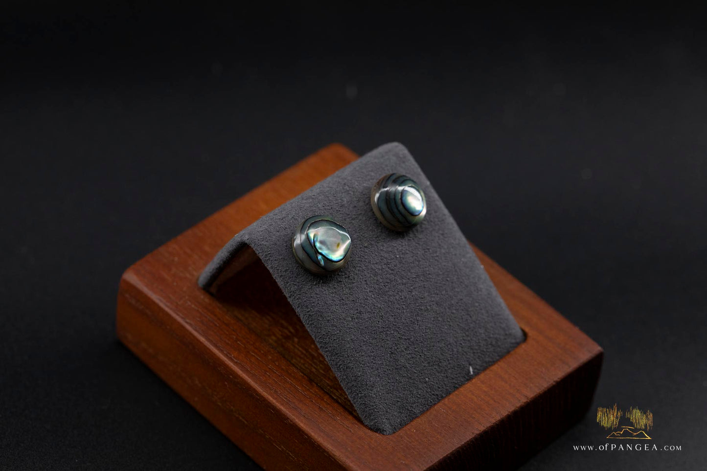 Abalone Stud Earrings - 10mm Abalone and 0.925 Sterling Silver
