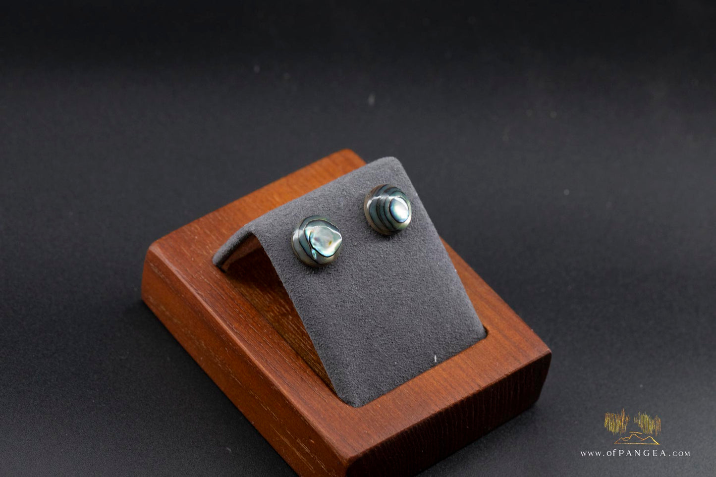 Abalone Stud Earrings - 10mm Abalone and 0.925 Sterling Silver