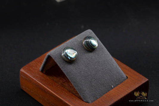 Abalone Stud Earrings - 10mm Abalone and 0.925 Sterling Silver