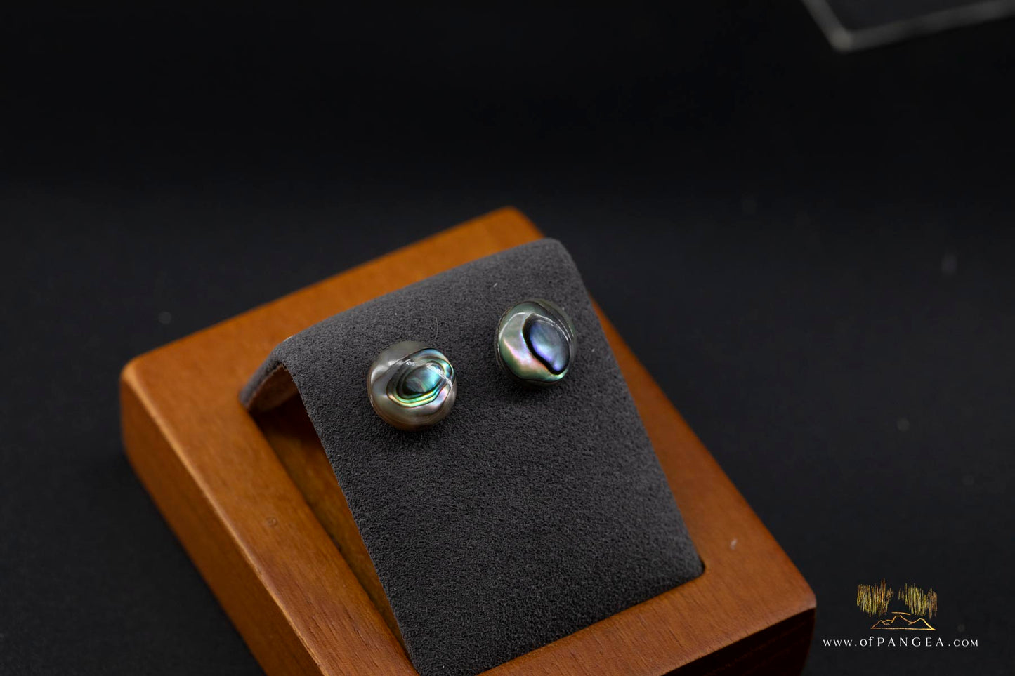 Abalone Stud Earrings - 10mm Abalone and 0.925 Sterling Silver