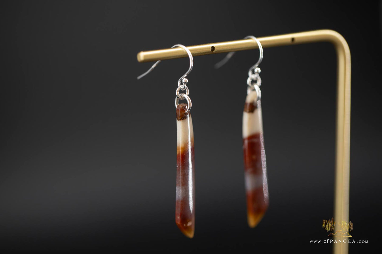 Petrified Wood Earrings - Opalized - Sterling Silver || JF864