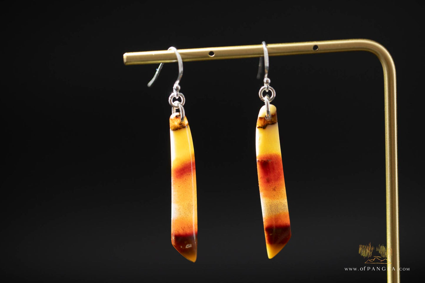 Petrified Wood Earrings - Opalized - Sterling Silver || JF864