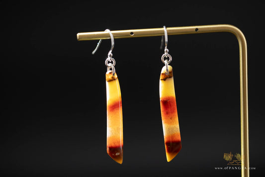 Petrified Wood Earrings - Opalized - Sterling Silver || JF864