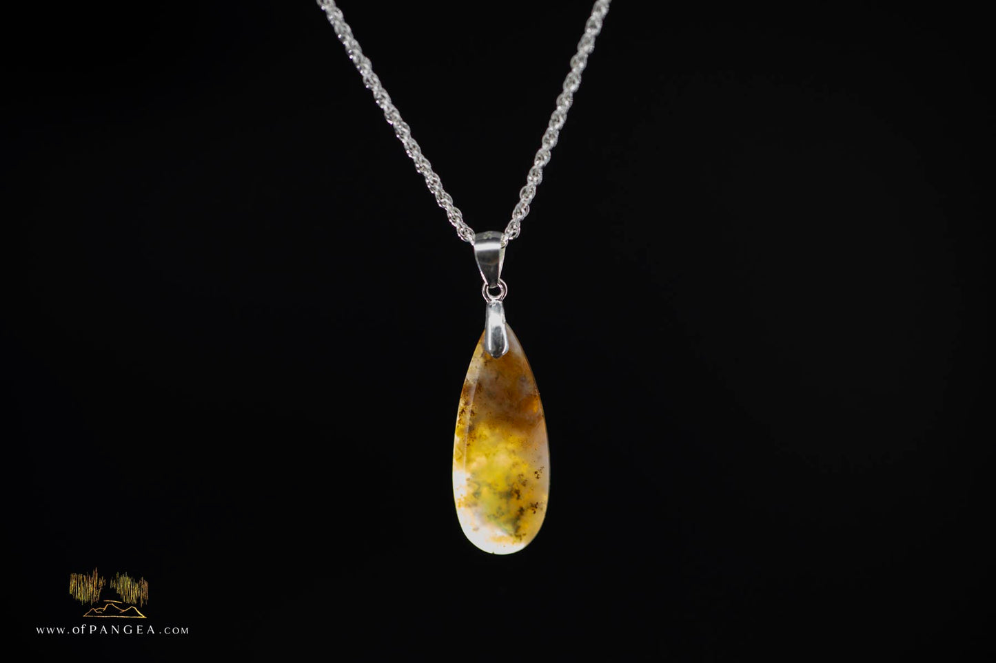 Opalized Petrified Wood Drop Pendant & 18inch Italian .925 sterling silver rope chain (1.35mm) || JF865