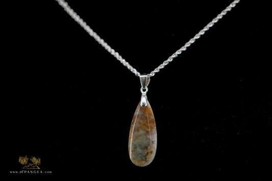 Opalized Petrified Wood Drop Pendant & 18inch Italian .925 sterling silver rope chain (1.35mm) || JF865