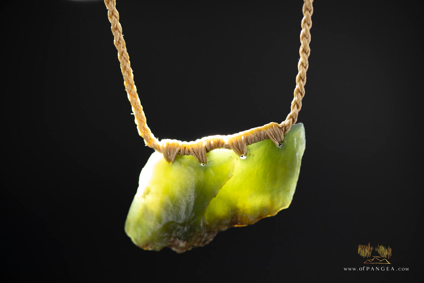 Wyoming Jade Slick Necklace - Green Apple Nephrite Jade || JF877