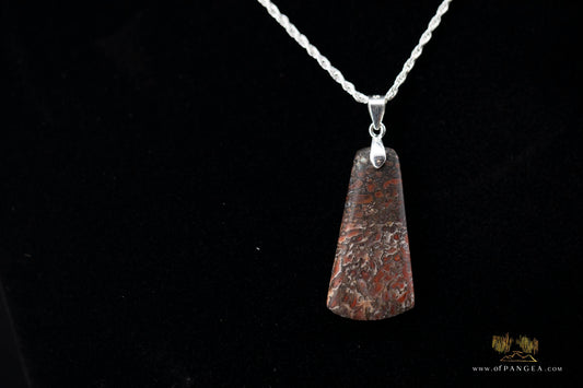 Dinosaur Gembone pendant - Italian 0.925 sterling silver rope chain - 1.35mm 20inch || JF903