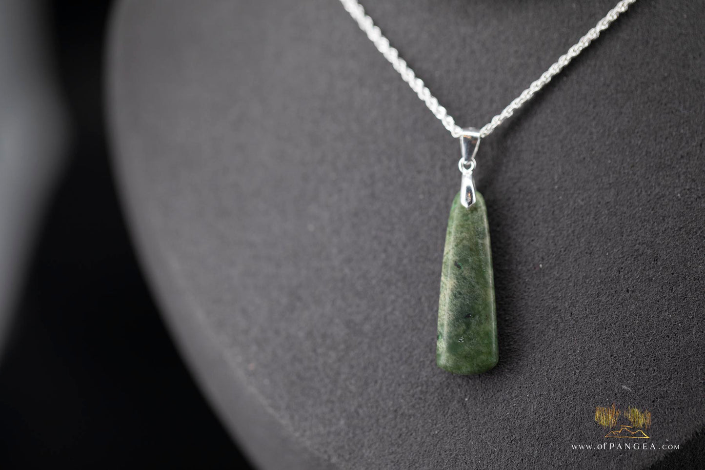 British Columbian Green Flower Nephrite Jade Necklace - Italian sterling silver rope chain || JF904