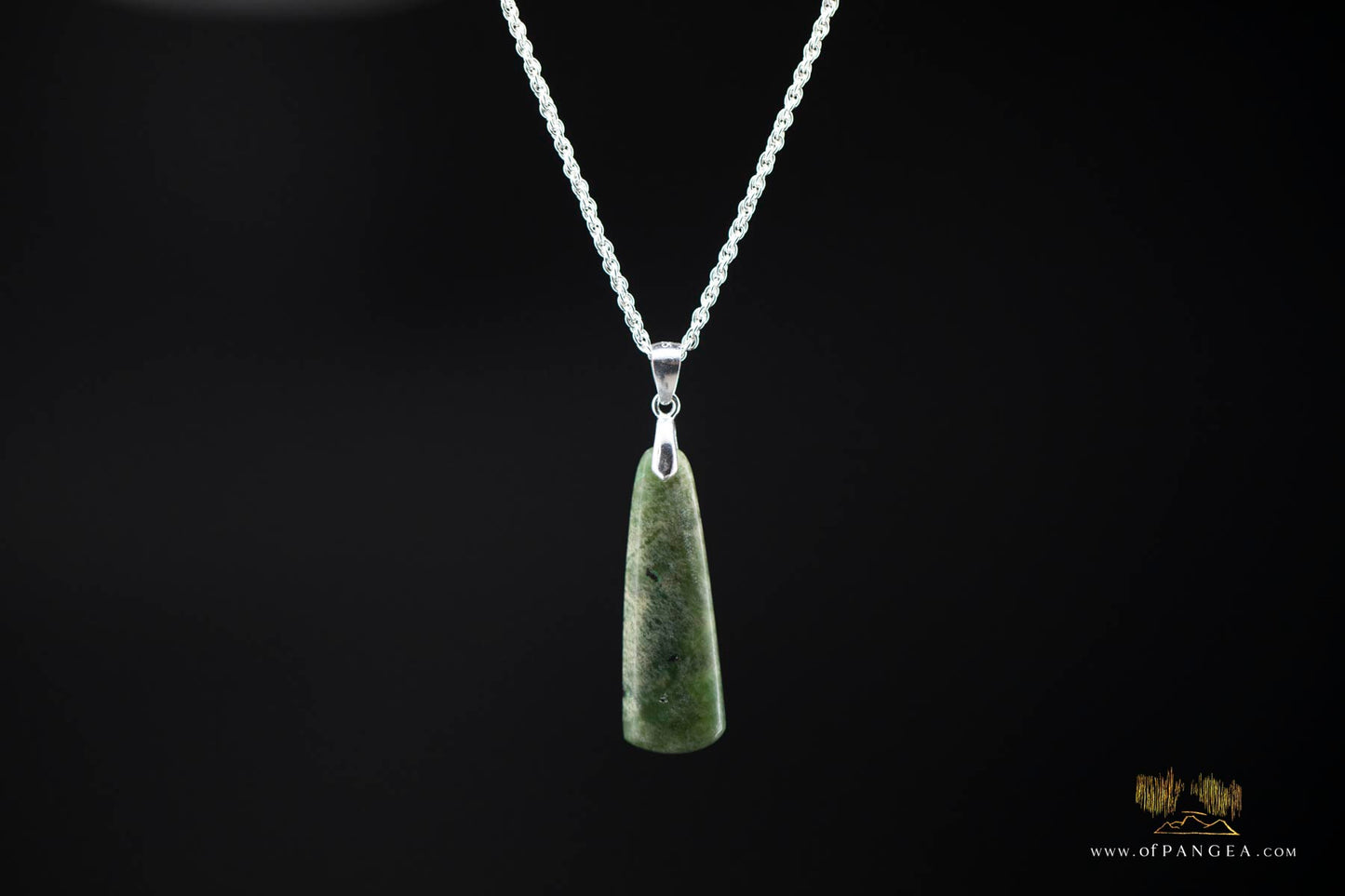 British Columbian Green Flower Nephrite Jade Necklace - Italian sterling silver rope chain || JF904
