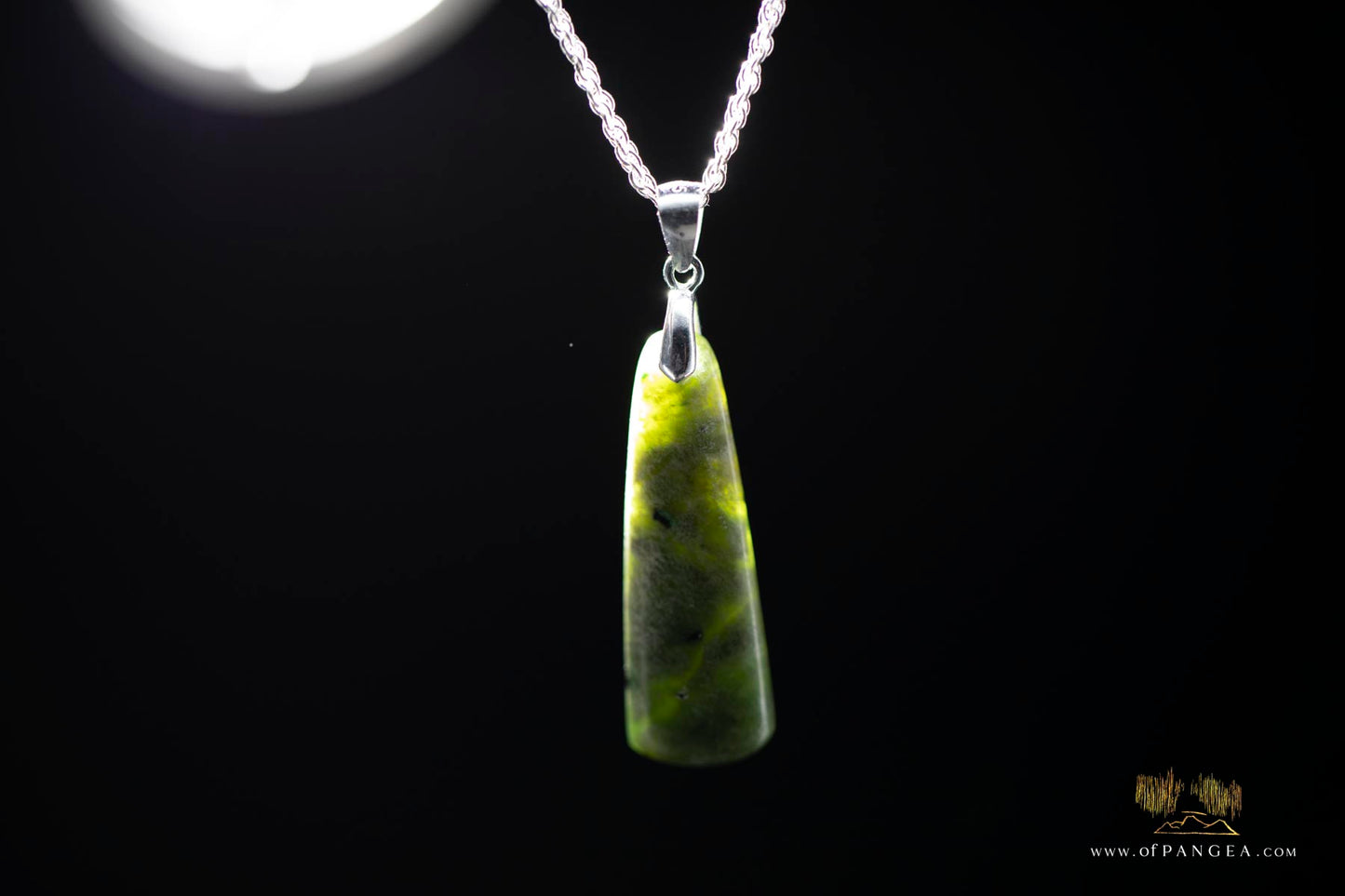 British Columbian Green Flower Nephrite Jade Necklace - Italian sterling silver rope chain || JF904