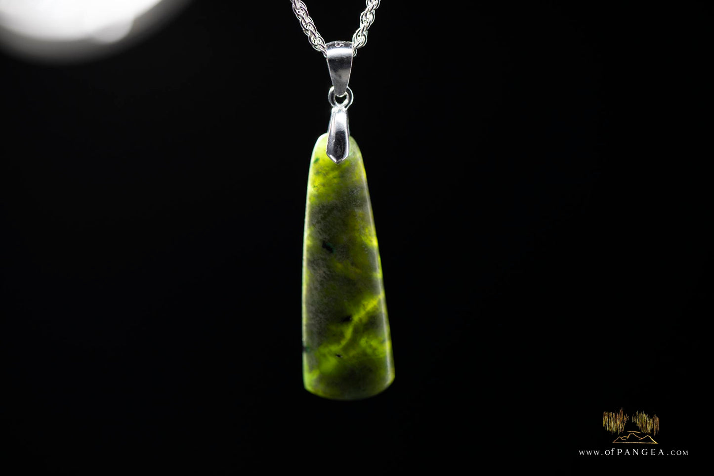 British Columbian Green Flower Nephrite Jade Necklace - Italian sterling silver rope chain || JF904