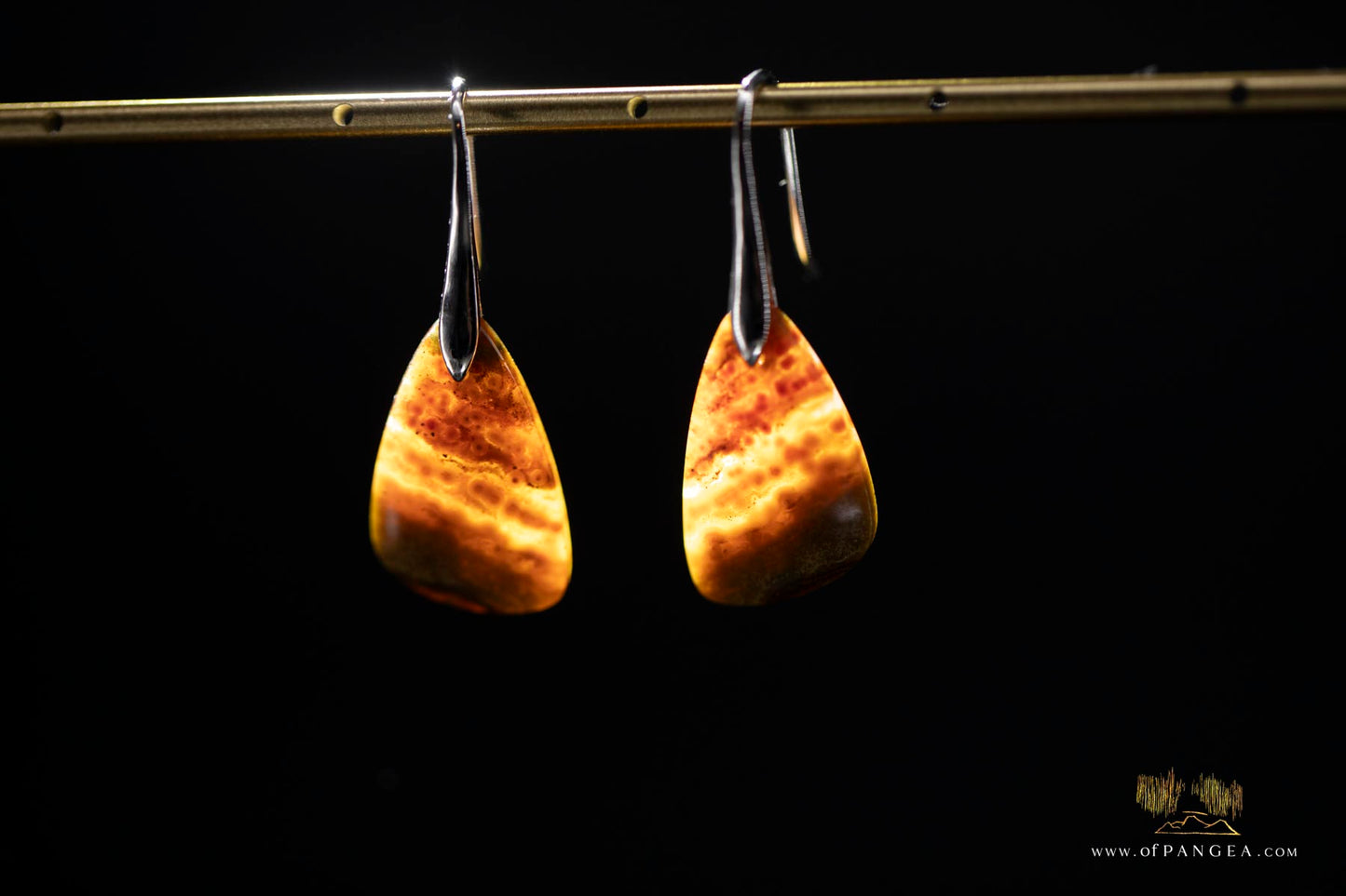 Ocean Jasper earrings - Sterling Silver || JF906