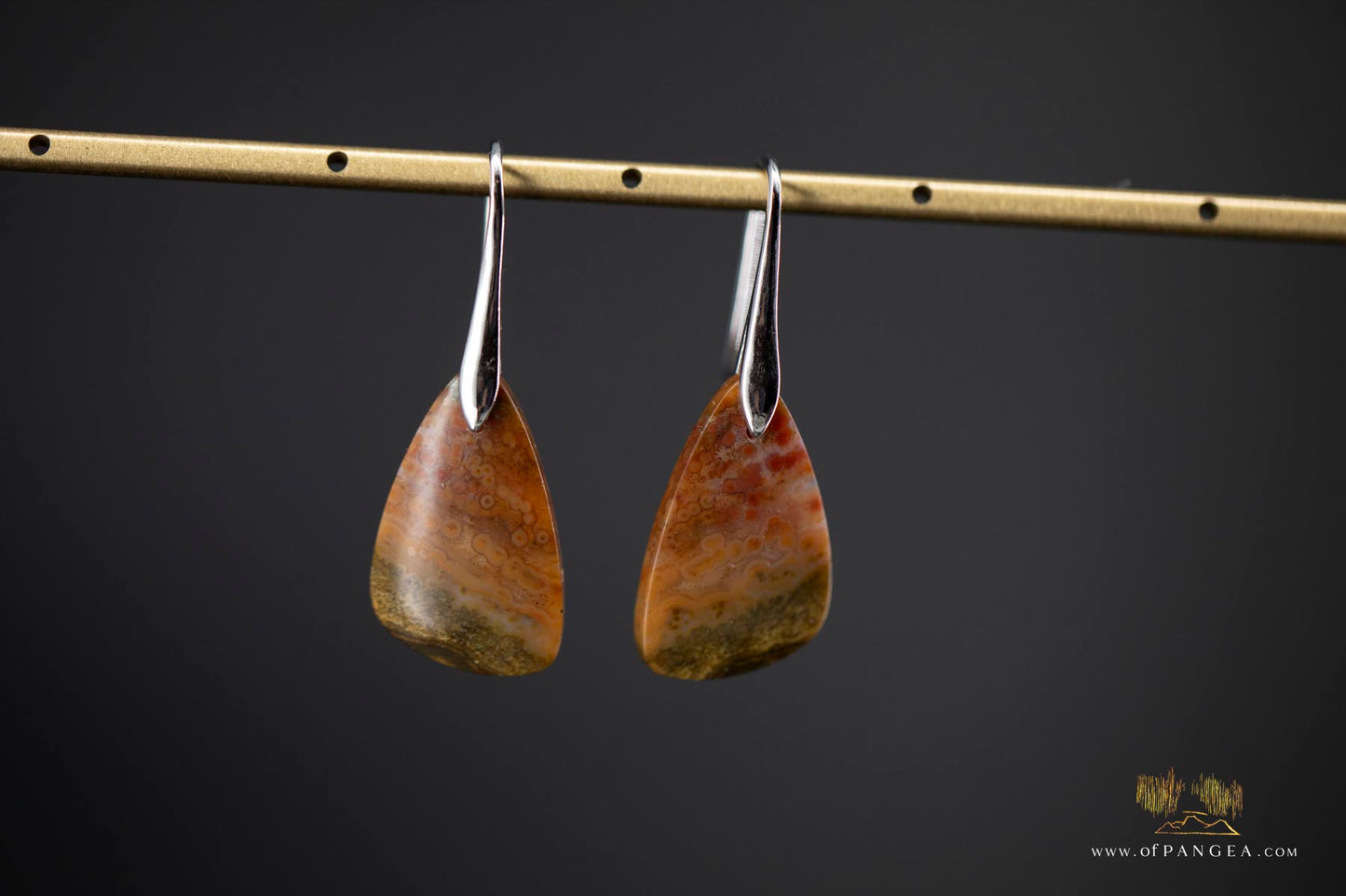 Ocean Jasper earrings - Sterling Silver || JF906