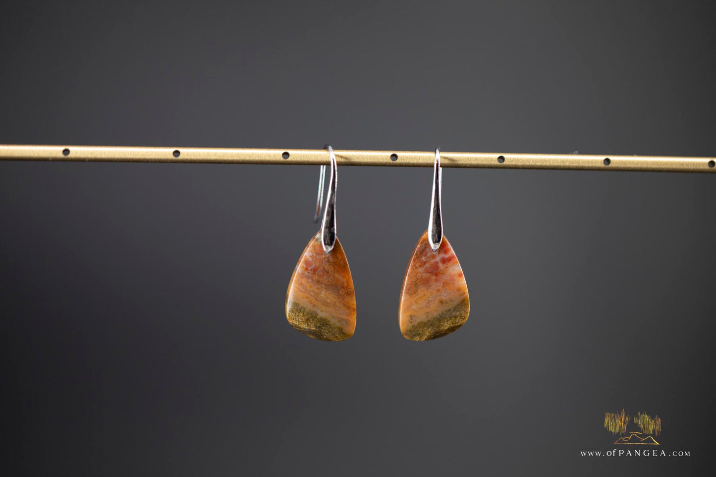 Ocean Jasper earrings - Sterling Silver || JF906