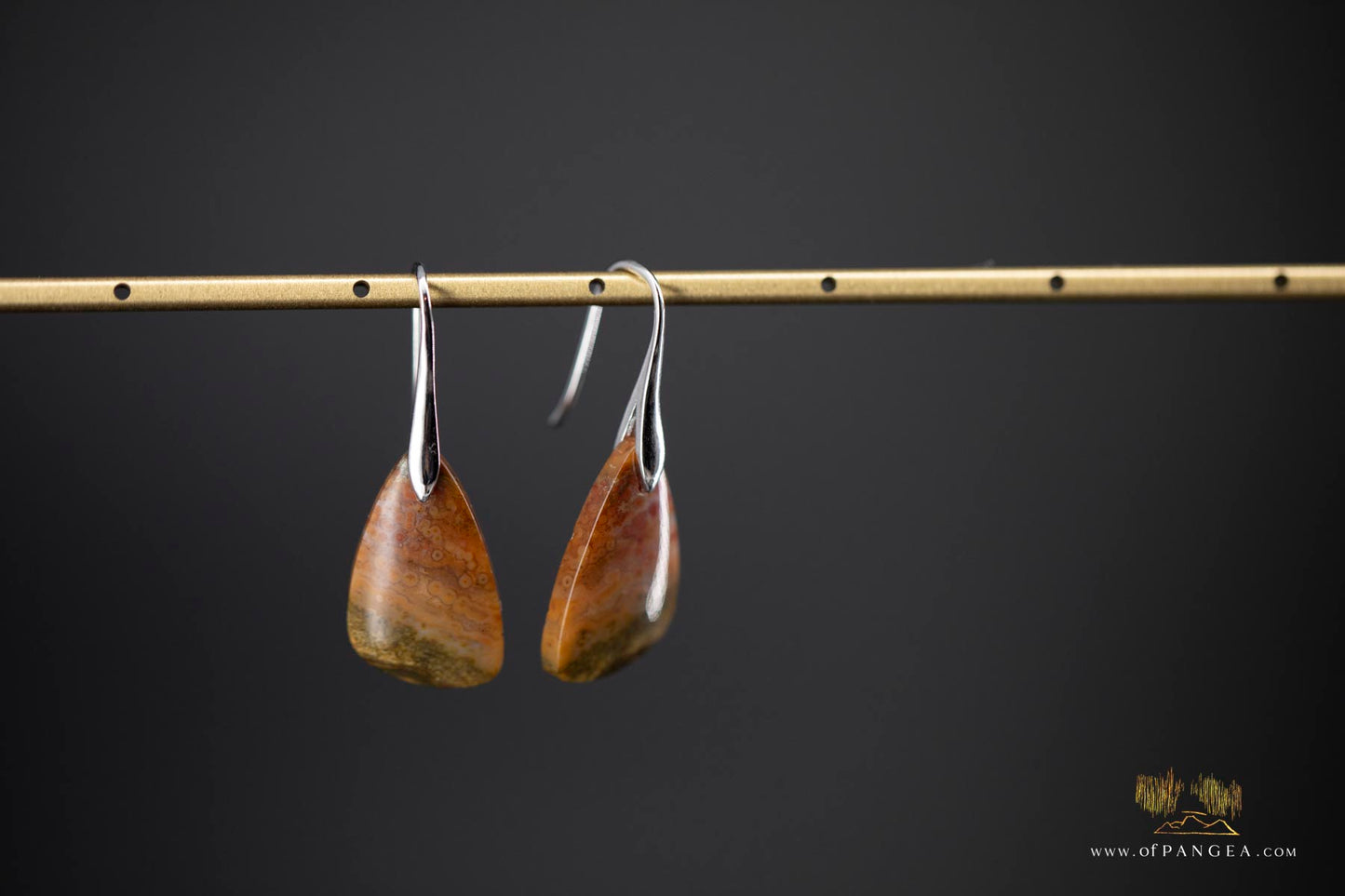 Ocean Jasper earrings - Sterling Silver || JF906