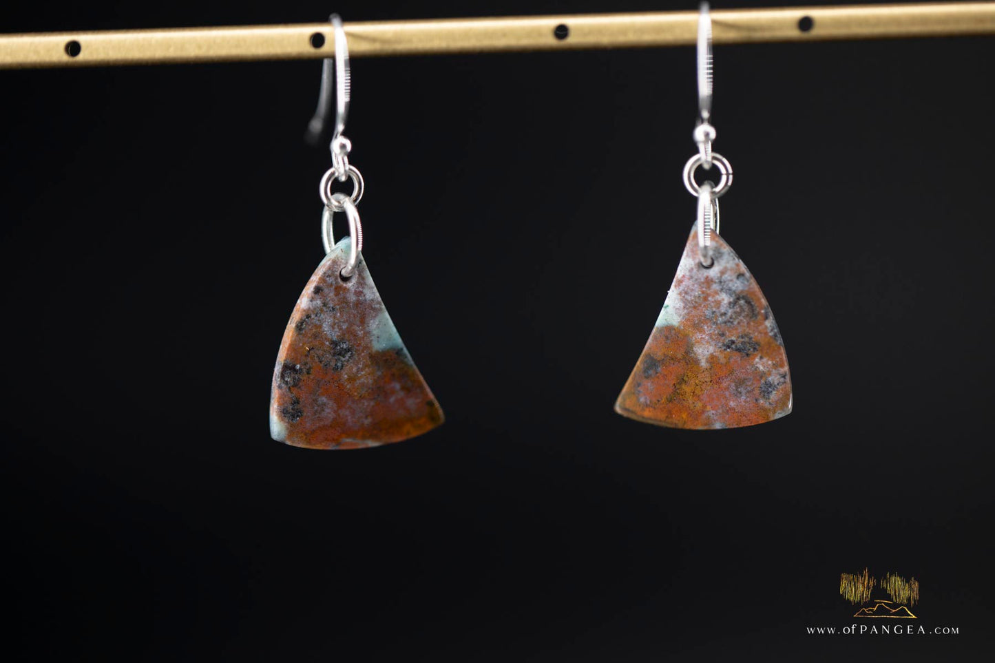 Petrified Wood Earrings - Opalized - Sterling Silver || JF907