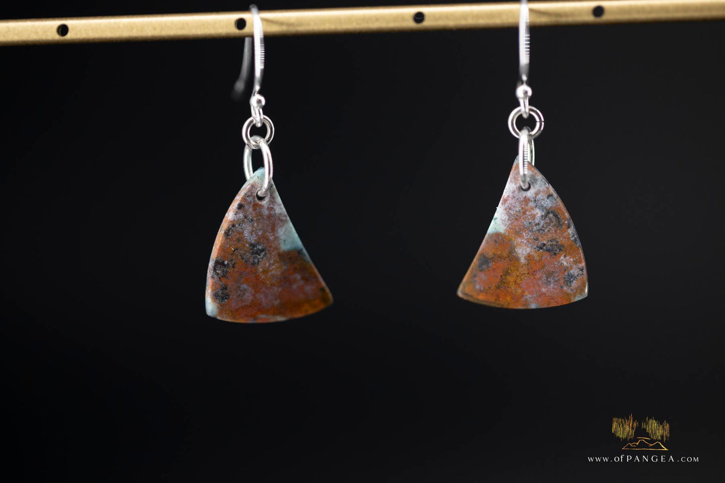 Petrified Wood Earrings - Opalized - Sterling Silver || JF907