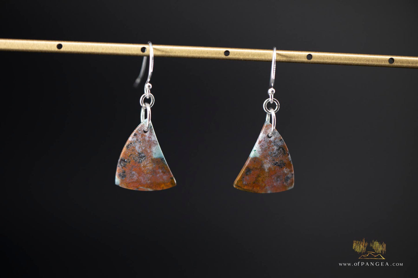 Petrified Wood Earrings - Opalized - Sterling Silver || JF907