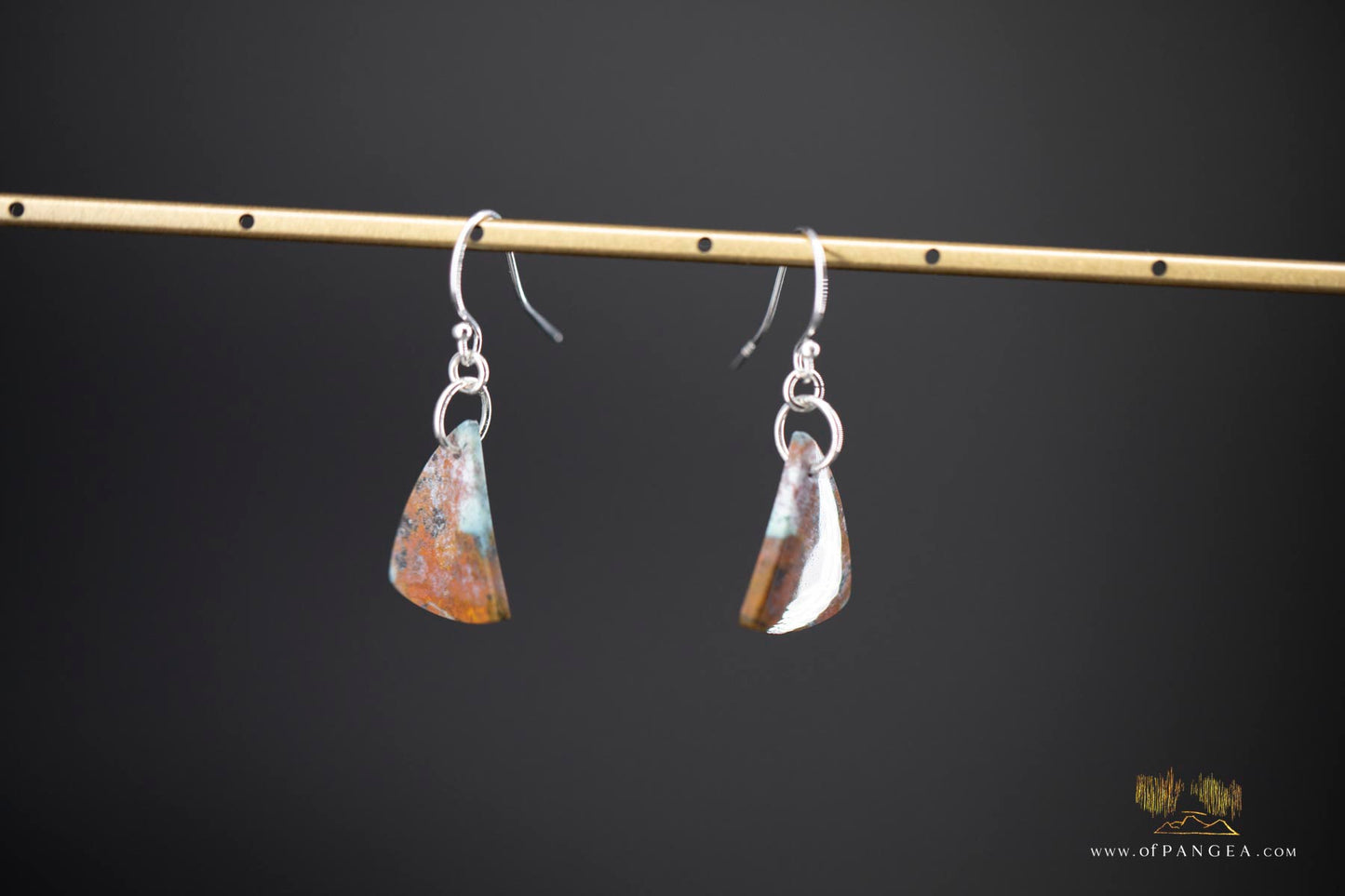 Petrified Wood Earrings - Opalized - Sterling Silver || JF907