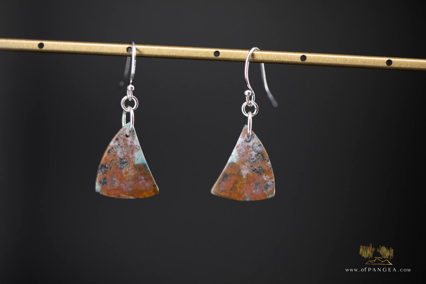Petrified Wood Earrings - Opalized - Sterling Silver || JF907