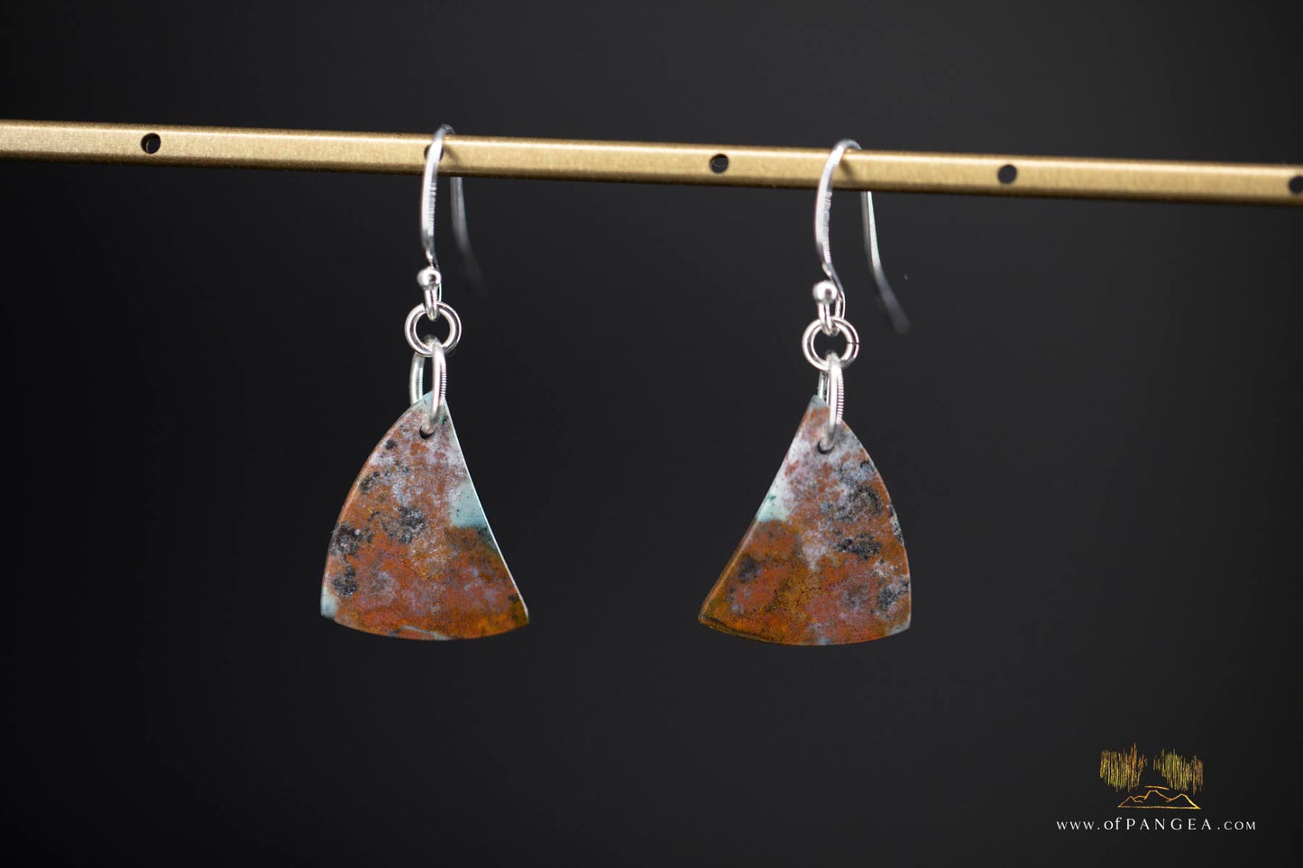 Petrified Wood Earrings - Opalized - Sterling Silver || JF907