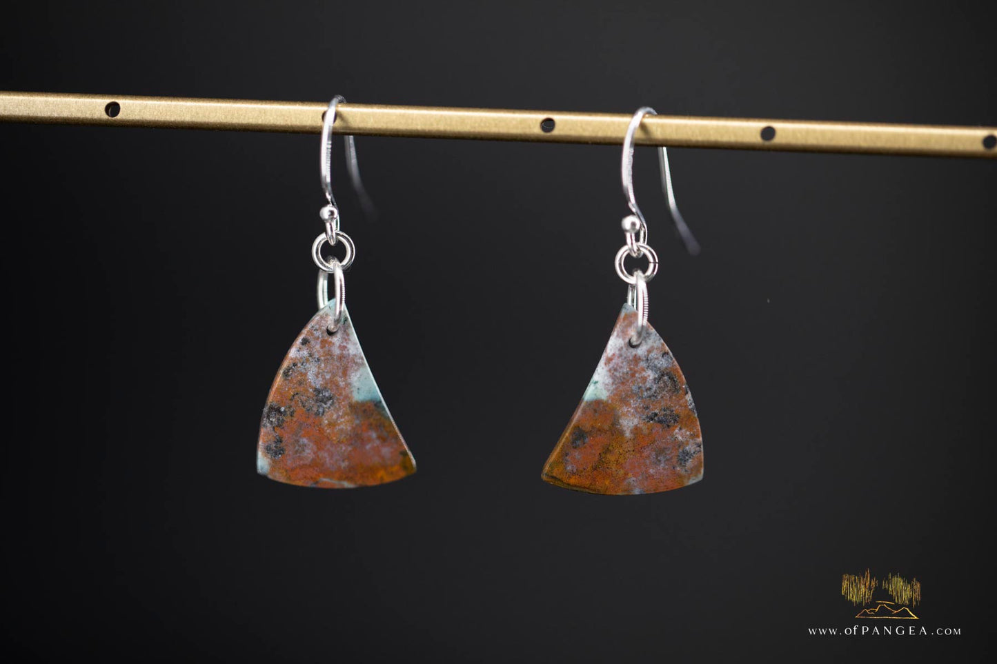 Petrified Wood Earrings - Opalized - Sterling Silver || JF907