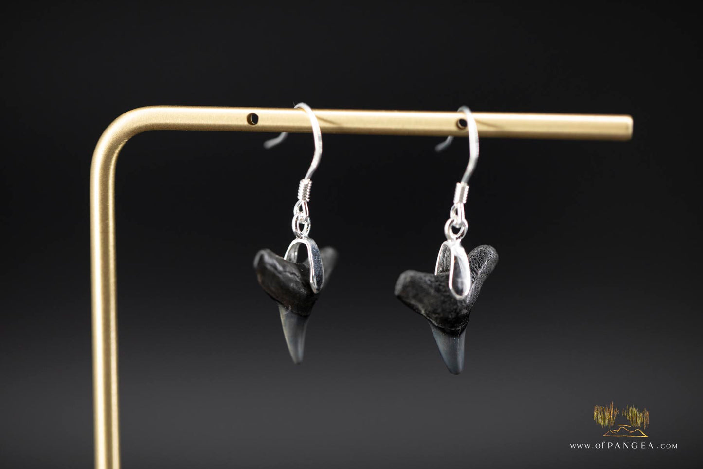 Fossilized Shark Teeth Earrings - Sterling Silver || JF909