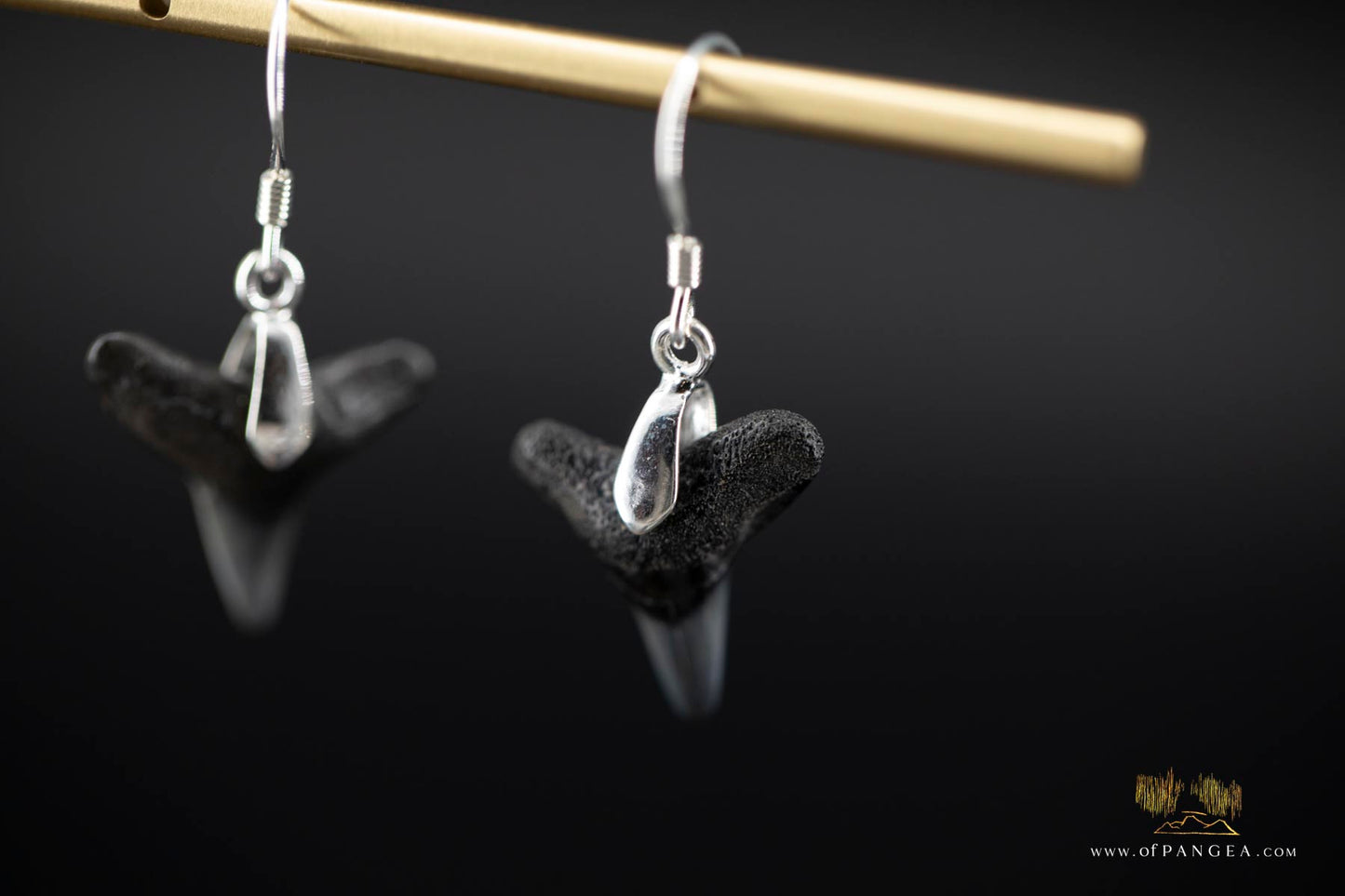 Fossilized Shark Teeth Earrings - Sterling Silver || JF909