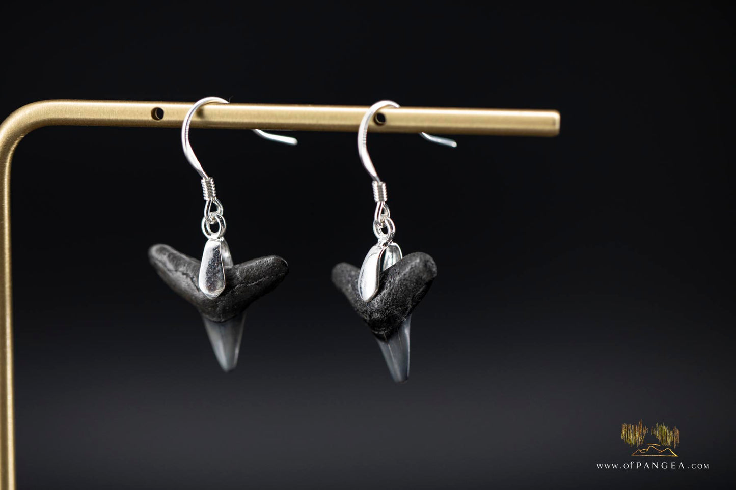 Fossilized Shark Teeth Earrings - Sterling Silver || JF909