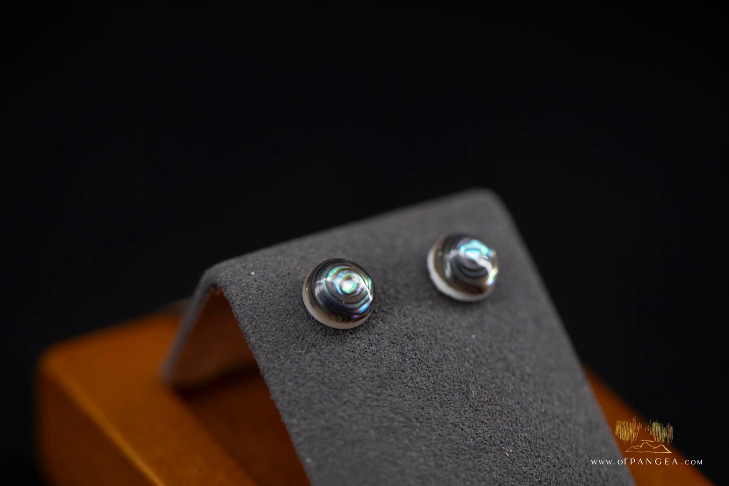 Abalone Stud Earrings - 8mm Abalone and 0.925 Sterling Silver