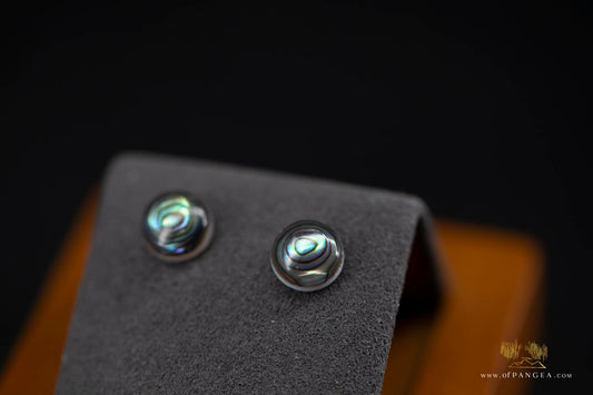 Abalone Stud Earrings - 8mm Abalone and 0.925 Sterling Silver