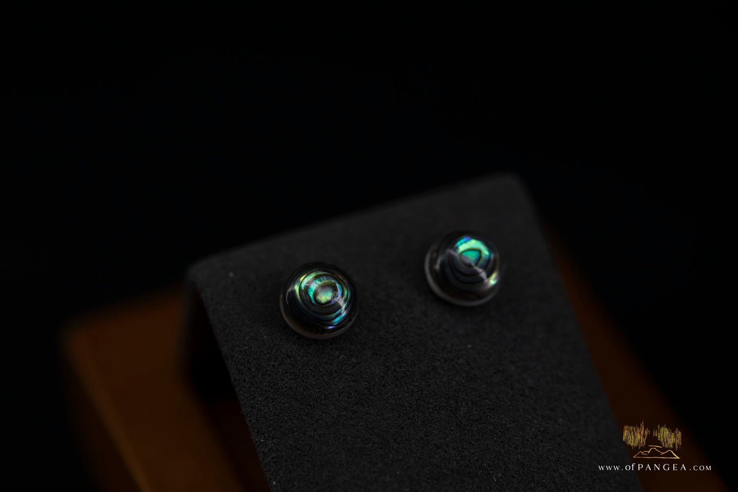 Abalone Stud Earrings - 8mm Abalone and 0.925 Sterling Silver