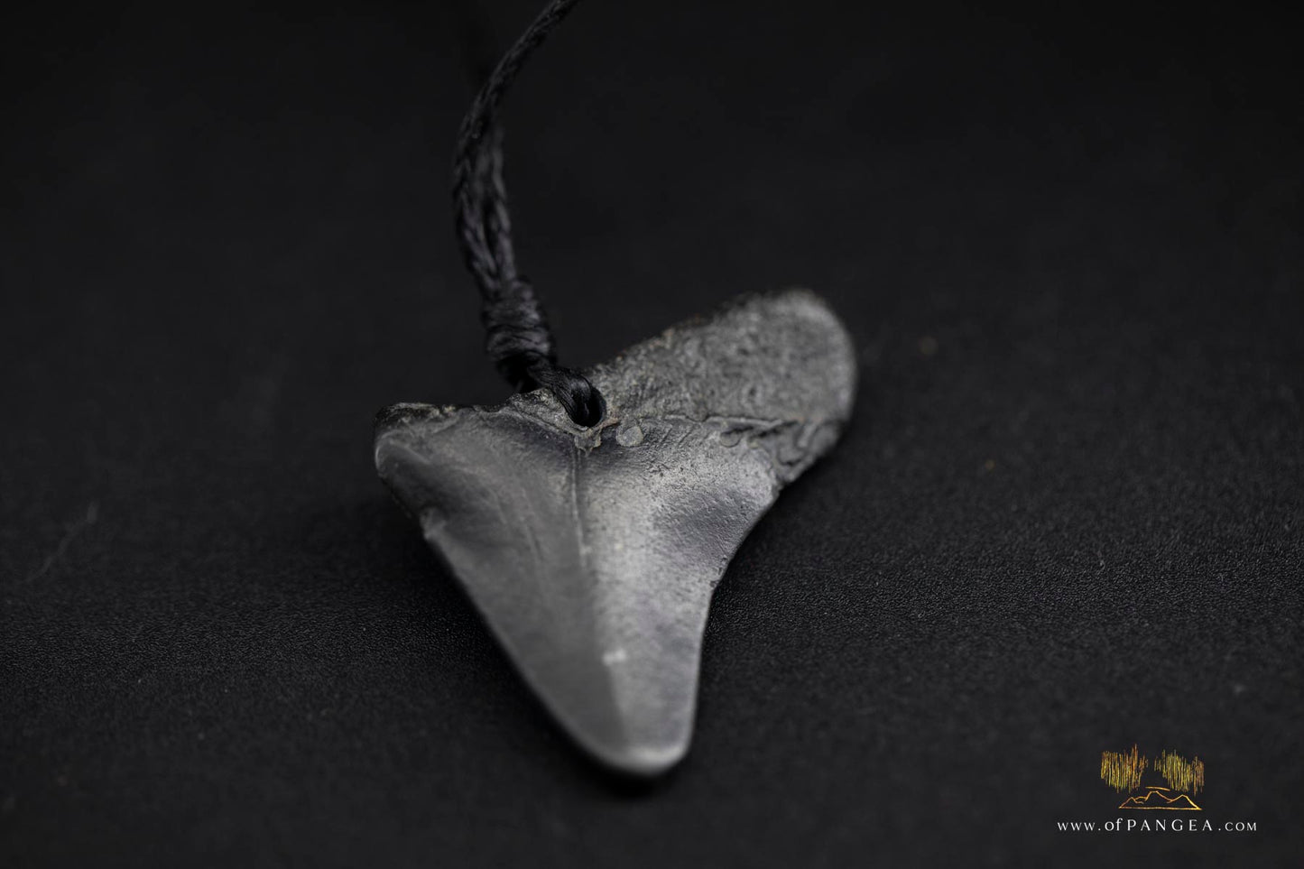 Megalodon Shark Tooth (extinct) Necklace - Waxed Cord || JF934