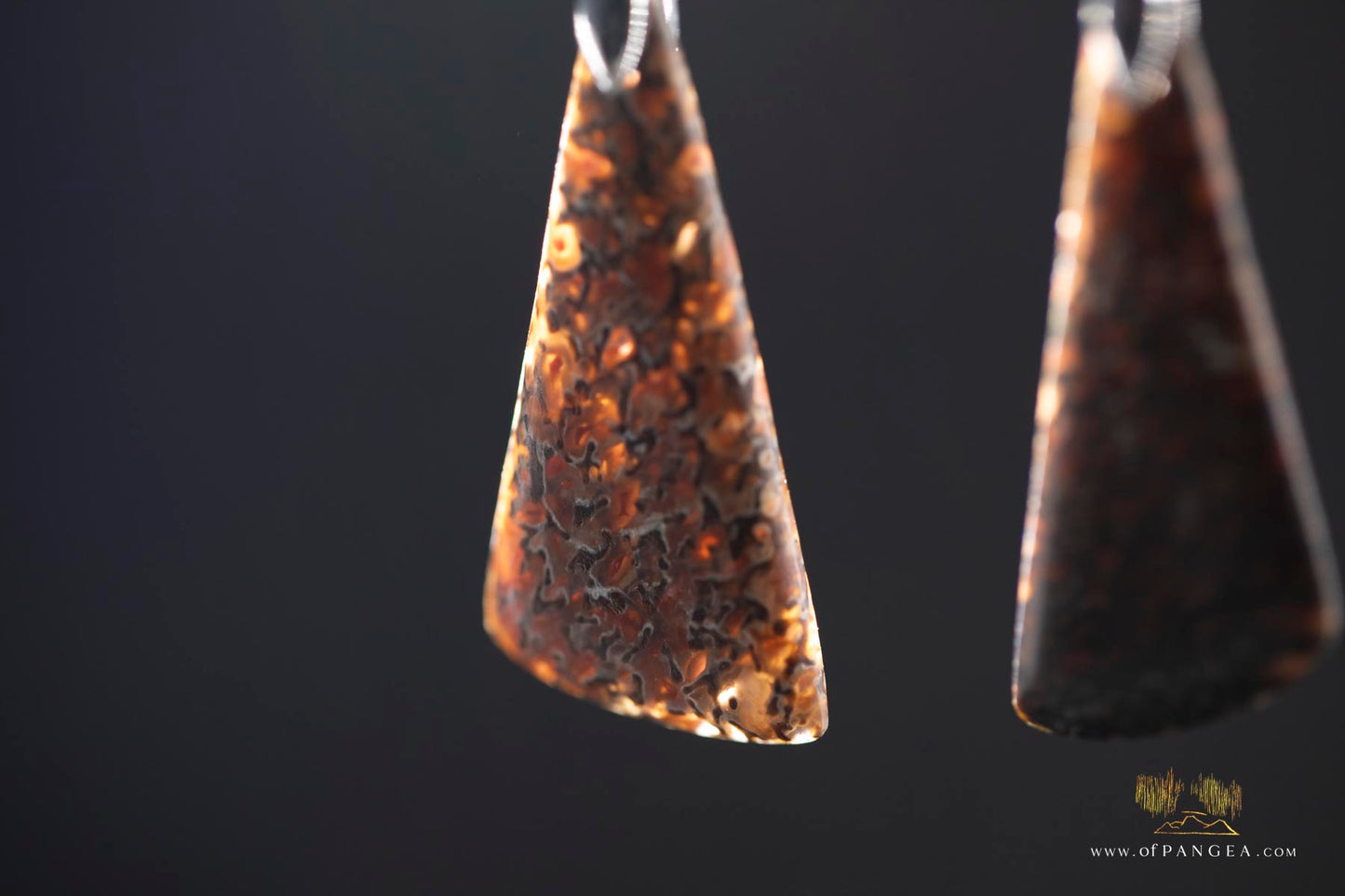 Dinosaur Gembone earrings - 0.925 sterling silver || JF935