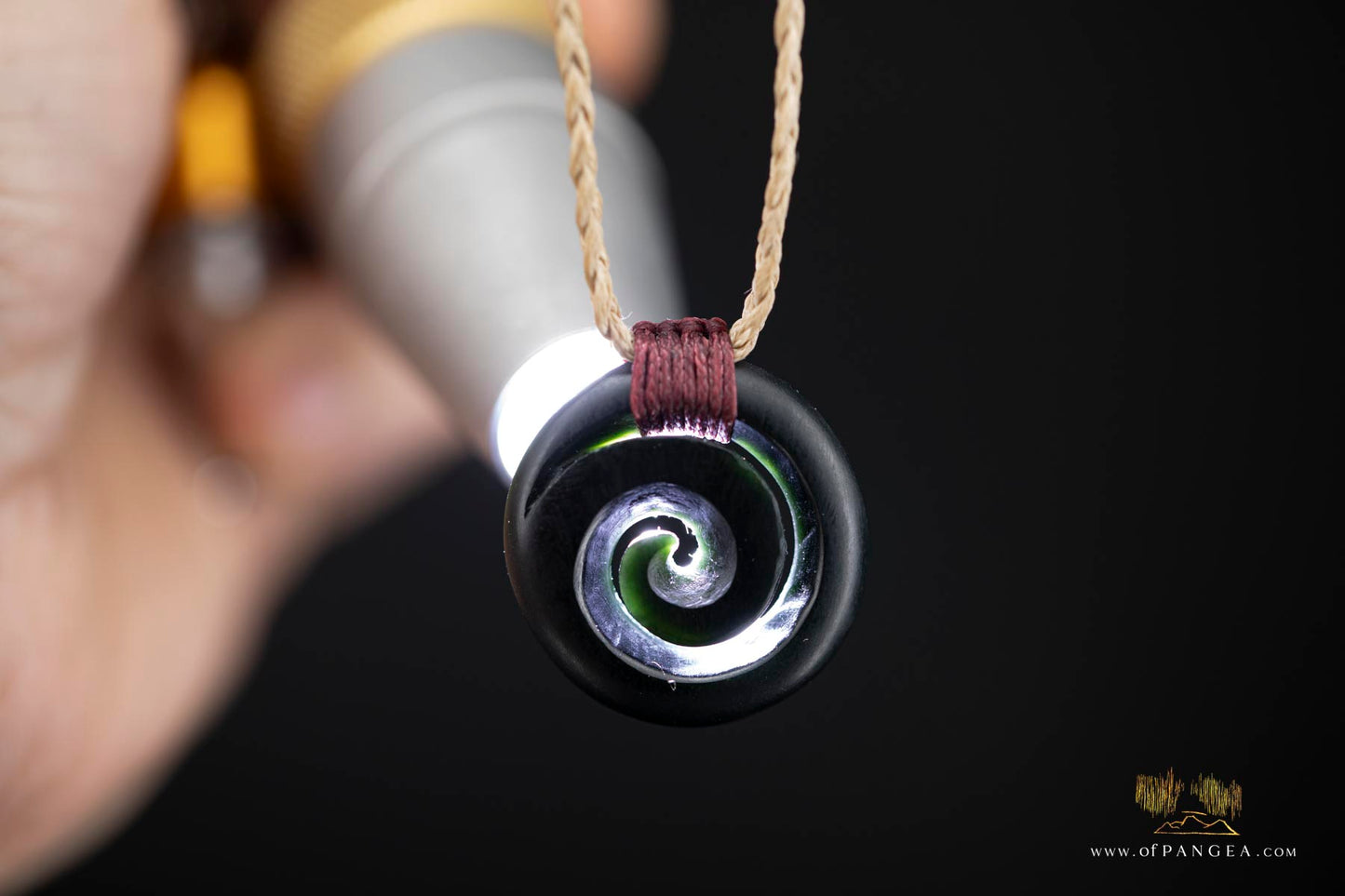 Koru Spiral carved from Wyoming Black Nephrite Jade - Necklace || JF937