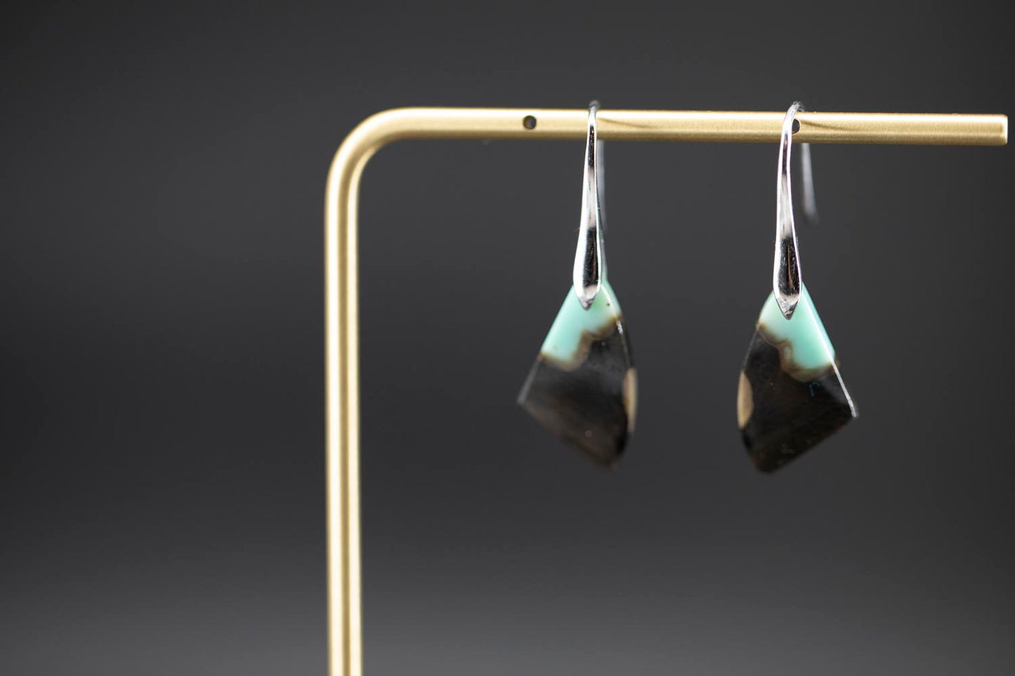 Petrified Wood Earrings - Opalized - Sterling Silver || JF941