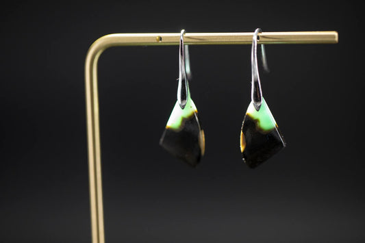 Petrified Wood Earrings - Opalized - Sterling Silver || JF941