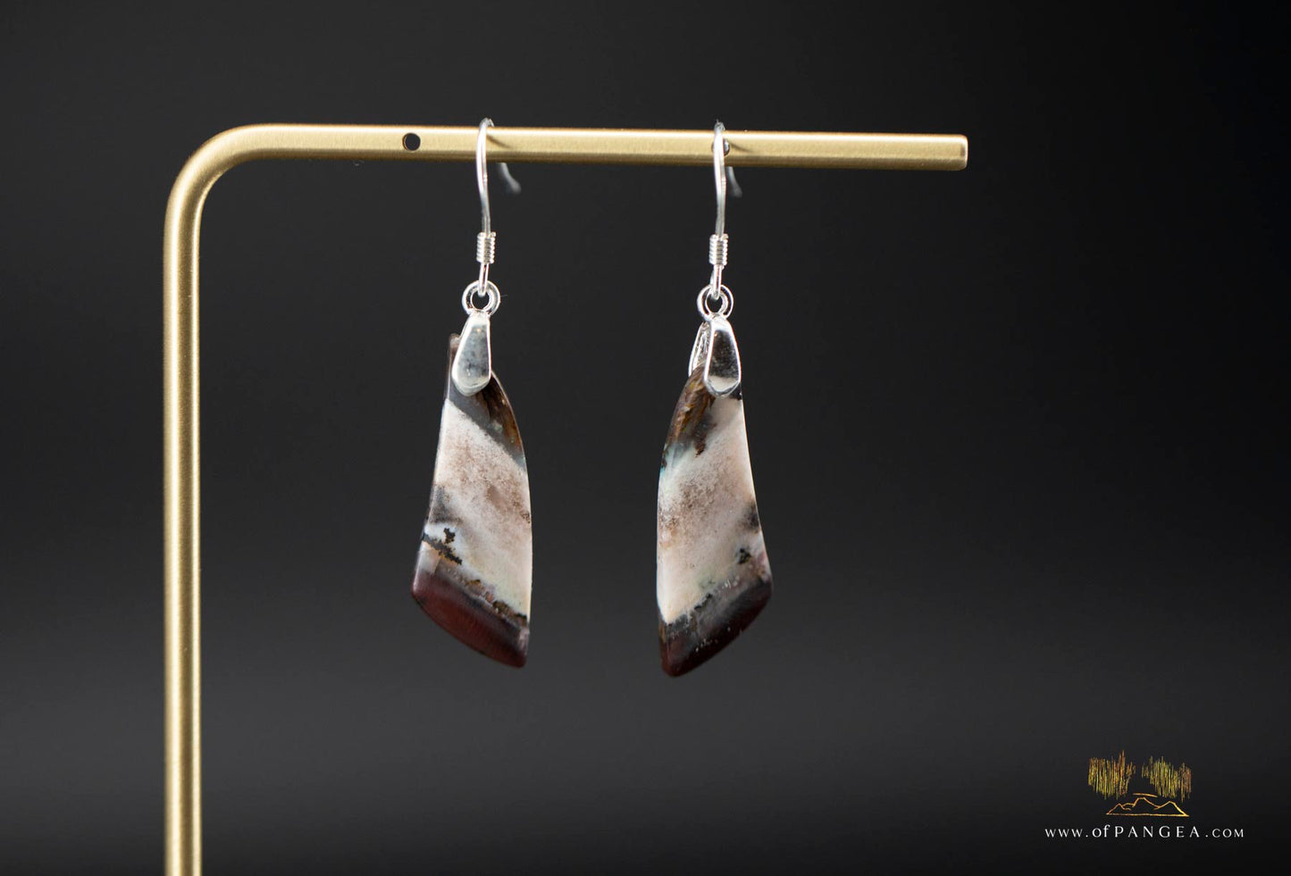 Petrified Wood Earrings - Opalized - Sterling Silver || JF946