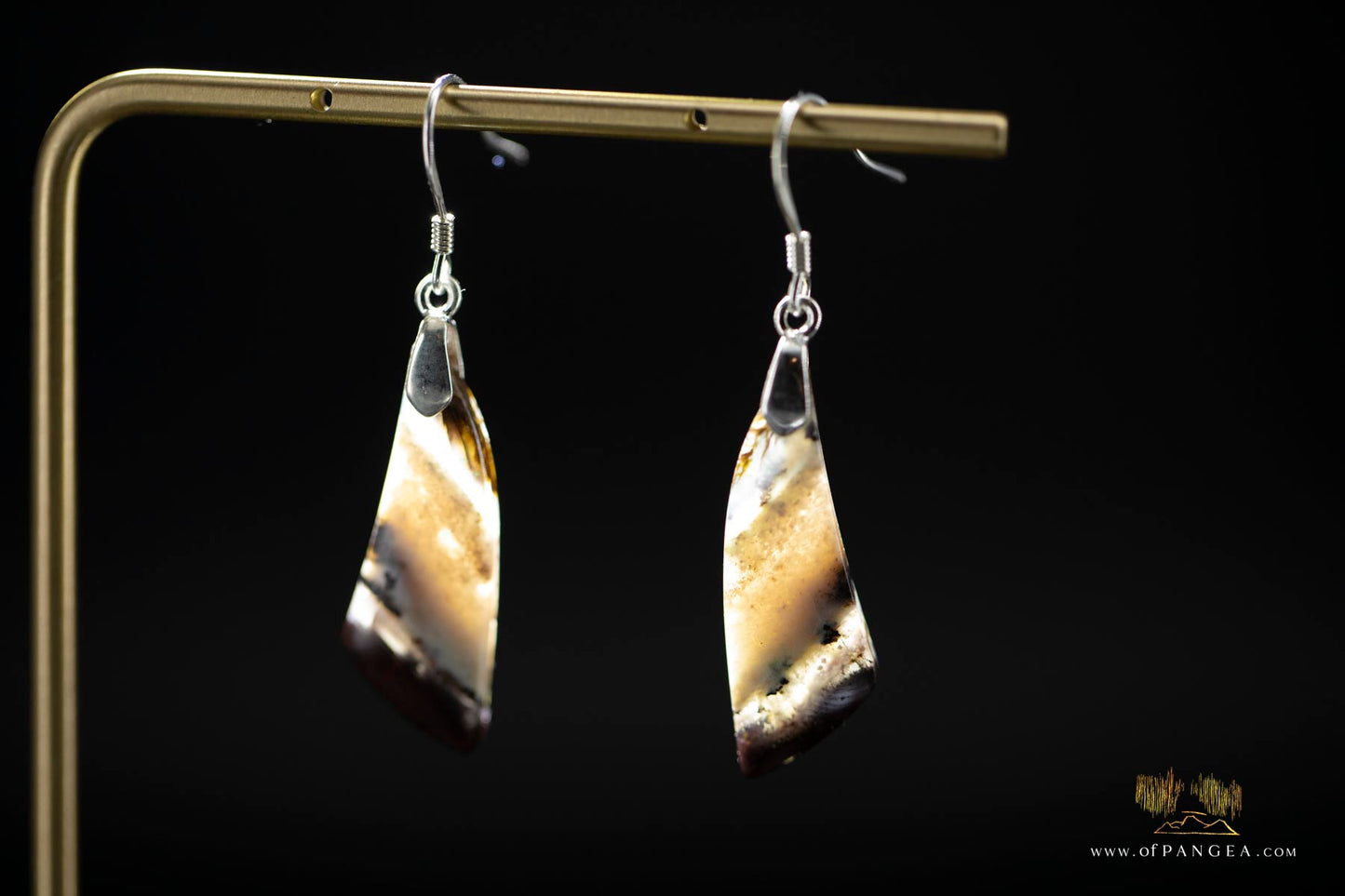 Petrified Wood Earrings - Opalized - Sterling Silver || JF946