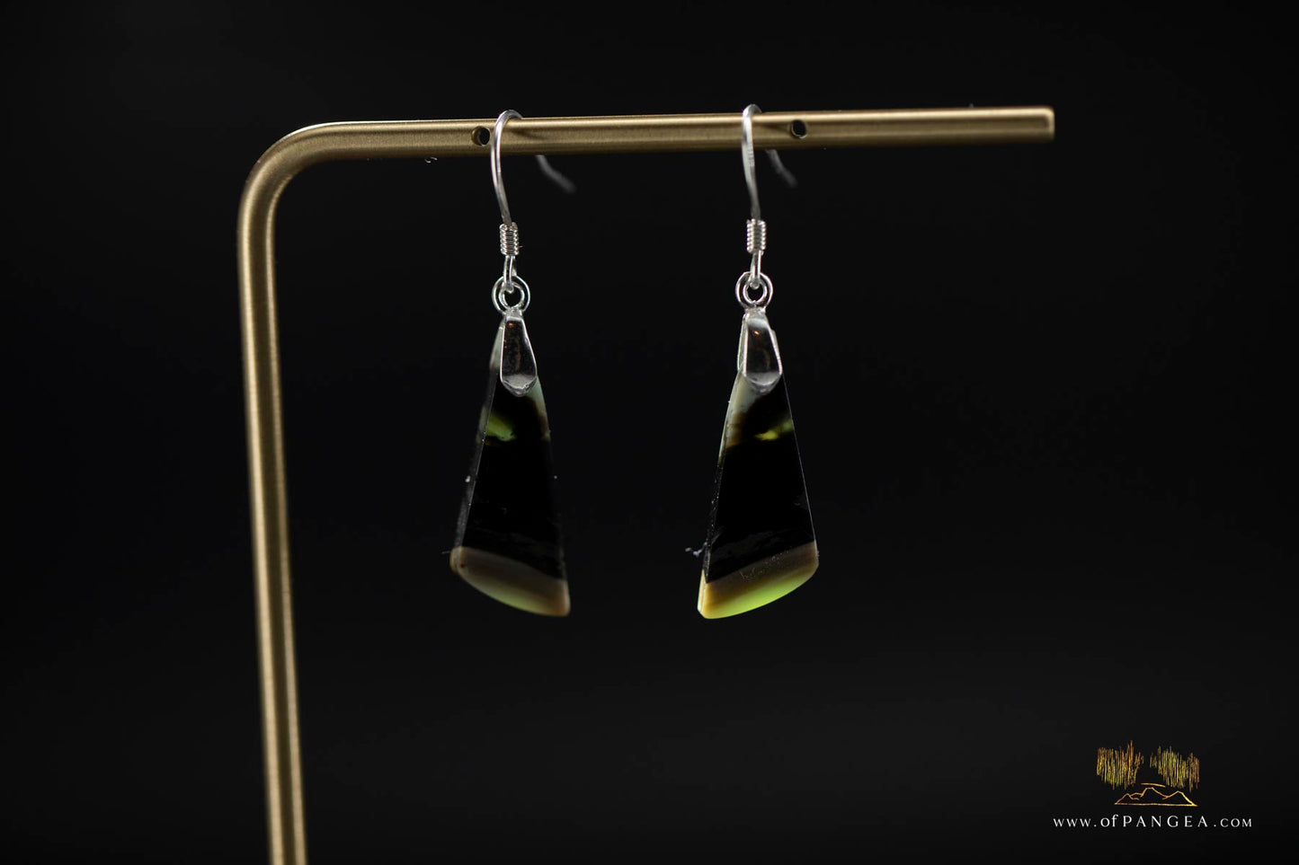 Petrified Wood Earrings - Opalized - Sterling Silver || JF947