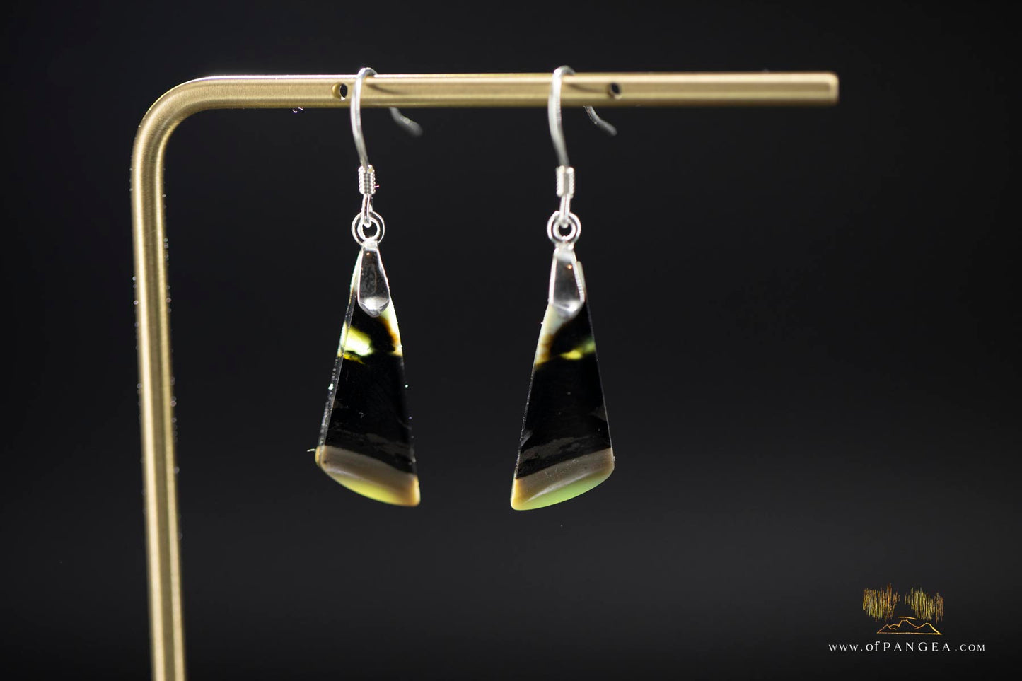 Petrified Wood Earrings - Opalized - Sterling Silver || JF947