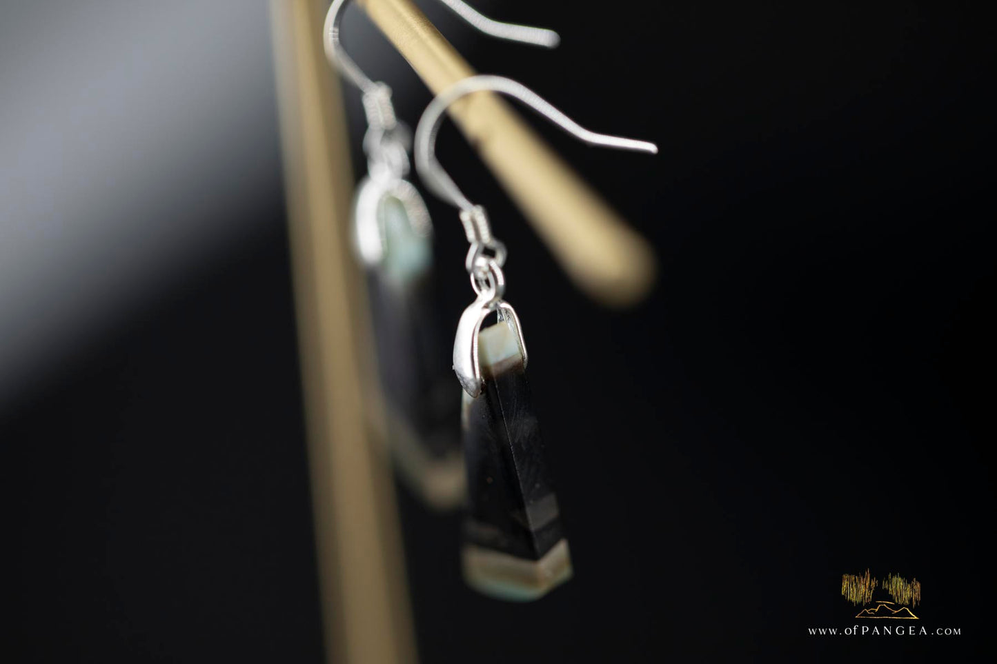 Petrified Wood Earrings - Opalized - Sterling Silver || JF947