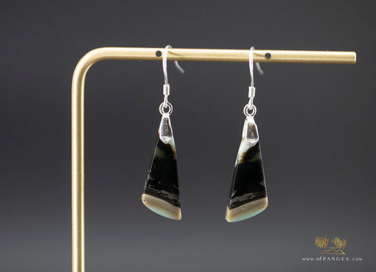 Petrified Wood Earrings - Opalized - Sterling Silver || JF947